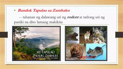 Mga likas na yaman ng mga lalawigan sa rehiyon .